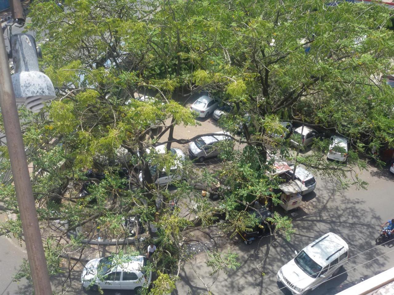 Hotel Tapti Saral Bhopal Buitenkant foto
